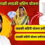 ladki bahini yojana hamipatra marathi,