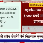 Ladki Bahin Yojana 3000rs Credited in Bank account