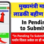 मुख्यमंत्री-लाडकी-बहीण-योजना-फॉर्म-Pending-Problem-Majhi-Ladki-Bahin-Yojana-Form-Pending-Problem