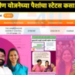 How to check Ladki Bahin Yojana money not received