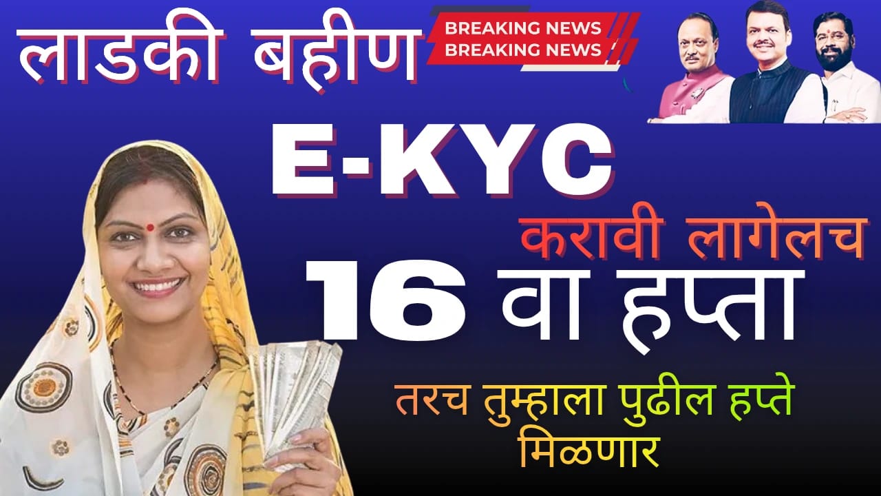 WhatsApp Image 2025 11 03 at 12.23.35 PM