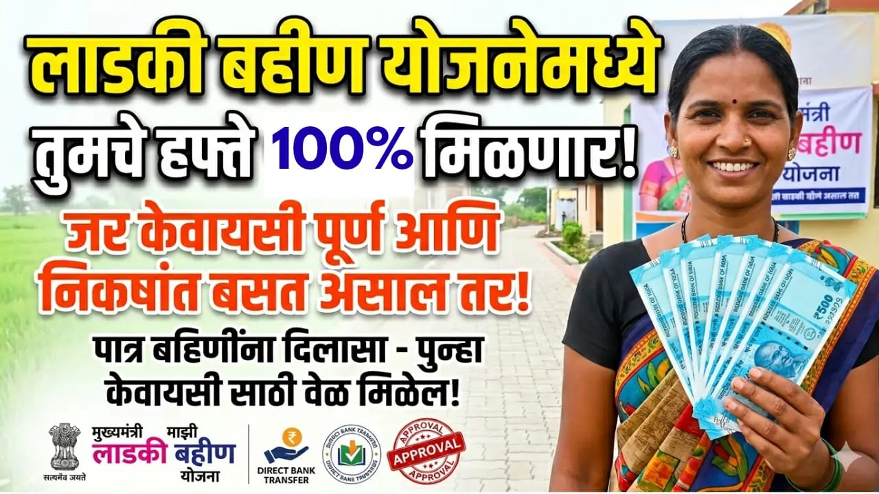 WhatsApp Image 2026 06 06 at 3.11.25 PM